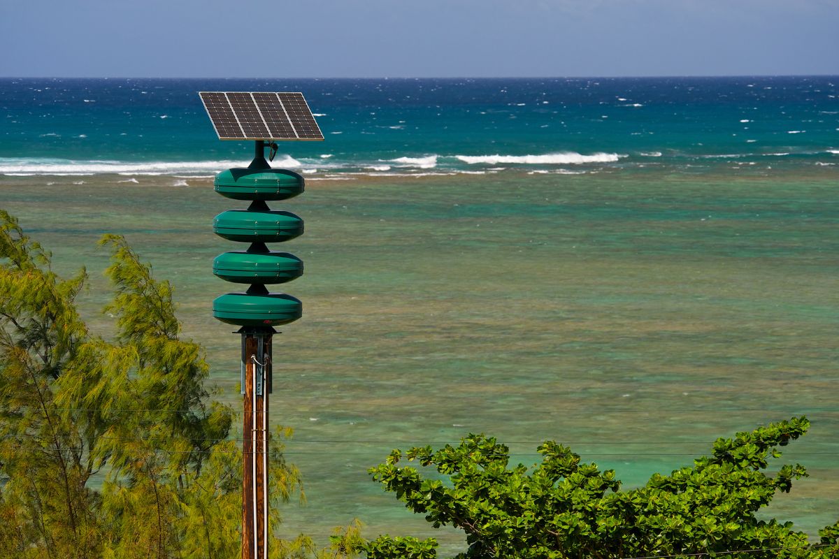 How Often Does Hawaii Get Tsunamis