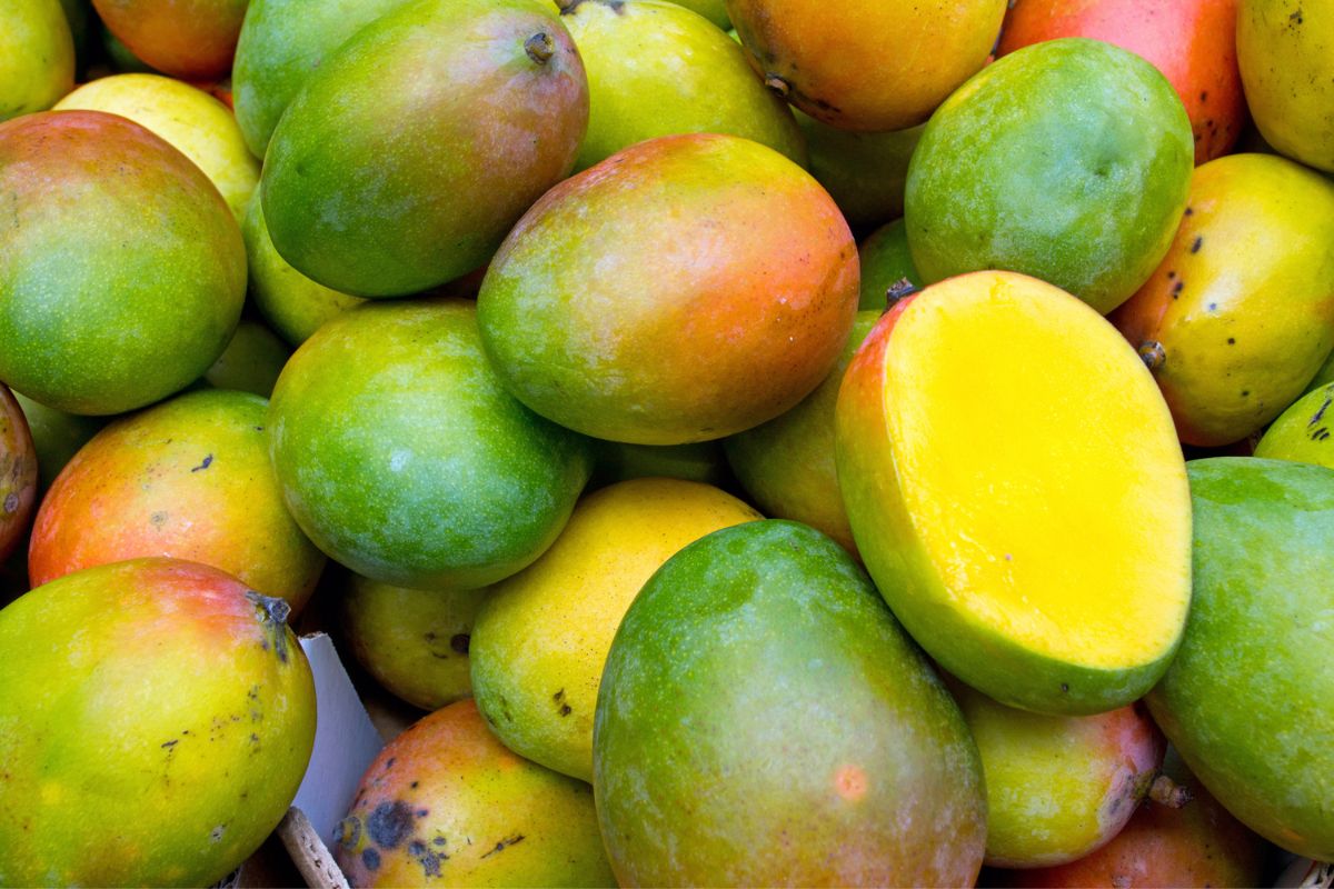 When Is Mango Season In Hawaii? (When To Visit For The Juiciest Fruit!)