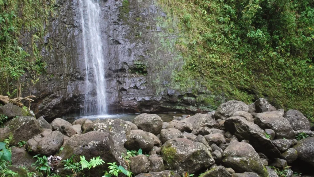 Manoa Falls - Best Oahu Waterfalls