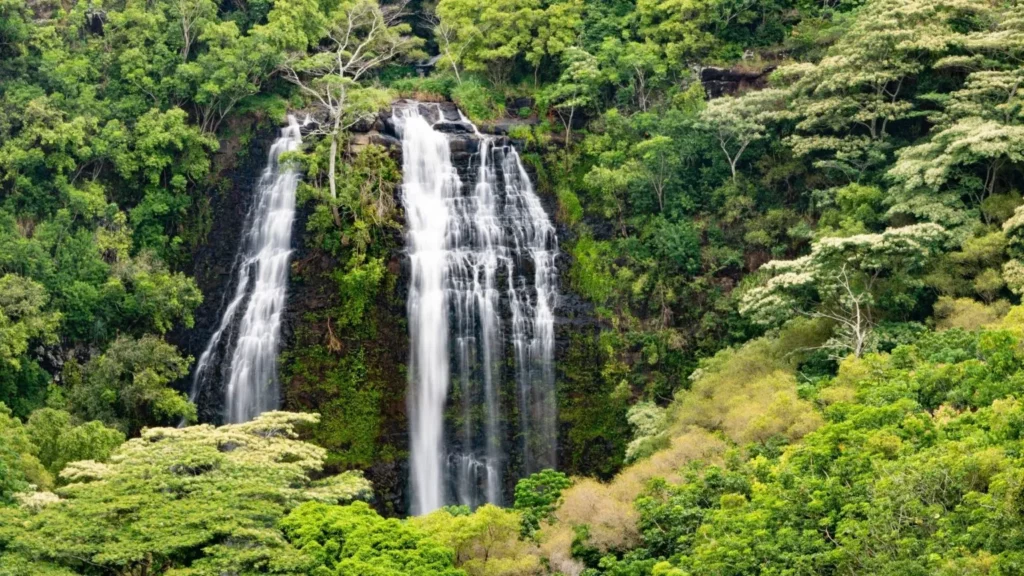 Kauai Waterfall Opaekaa
